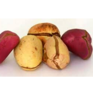 KOLA NUT(COLA NUT)