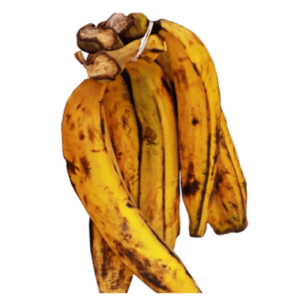 PLANTAIN