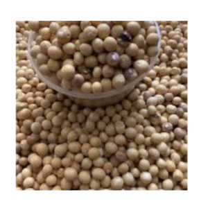 Okpa Seed (Cowpea)